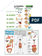 5 Sentidos y Aparatos