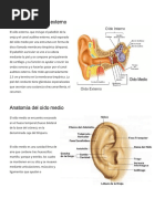 Anatomía Del Oído Externo