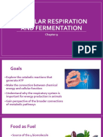 Chapter9 CellularRespirationFermentation - Student - BIO21 - SMC