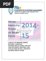 Winter Internship Project On Berger Paints