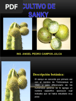 5-Clase Cultivo de Sanky