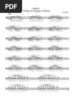 Agudos, Trabajo de Arpegios (Slokar)