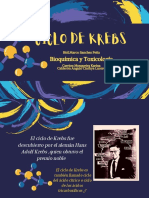 Exposicion Ciclo de Krebs