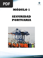 Módulo 1 Seguridad Portuaria