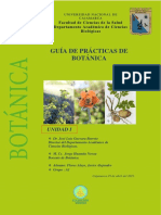 Guía de Practica BOTÁNICA Unida 1