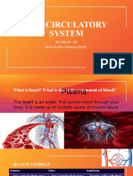 The Circulatory System