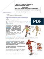 Sistema Locomotor