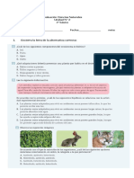 Prueba Unidad 2 Cs. Naturales 4° Basico