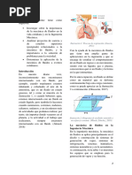 Importancia de La Mecanica de Fluidos en