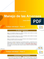 Segunda Manejo de Arvenses 16-01 2021