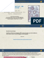 Practica-19.-Sistema-Cardiovascular Vasos