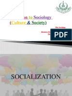 Socialization Lecture 6