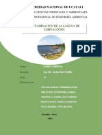 Contaminación de La Laguna de Yarinacocha - 2021