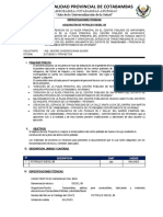 TDR Combustible Final Estudios