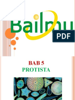 Bab 5 Protista