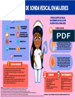 Infografia Sonda Vesical