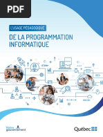 Usage Pedagogique Programmation Informatique