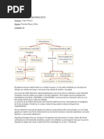 Biología Nervioso