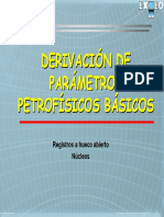 Petrophysical Analysis