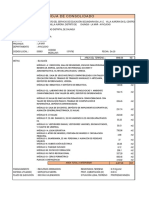 Formato Consolidado Presupuesto