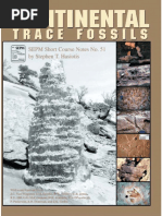 Continental Trace Fossils