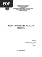 Informe Derecho Civil I Modulo I