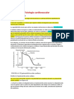 Fisiología Cardiovascular