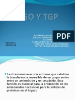 Expo Tgo y TGP