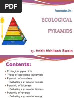 Ecologicalpyramidsppt 190224120811