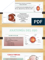 Fisiologia y Anatomia Del Ojo