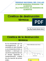 Destruccion Termica