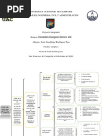 Cuadro Sinoptico Ciclo de Vida Del Proyecto