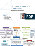 Infeccion Urinaria Mapa