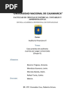 Auditoria Financiera A La Empresa Emibey