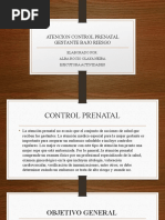 Atencion Control Prenatal Gestante Bajo Riesgo