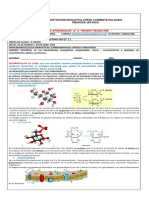 Guía 4 Biologia Septimo Moléculas Bioenergéticas