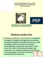 Sistema Endocrino Veterinaria