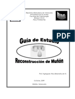 Guia de Reconstruccion de Munon