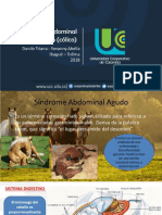 Sindrome Abdominal Agudo PDF