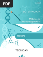 Conferencia - Métodos de Micropropagación II