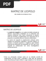 Matriz de Leopold-1