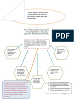 Care Plan Concept Map - RFI