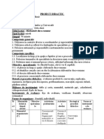 Proiect Didactic Razboaiele Dacoromane