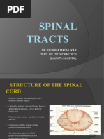 Spinal Tracts: DR - Krishna Madhukar Dept. of Orthopaedics Bharati Hospital