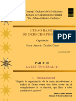 Curso Básico de Derecho Procesal 2