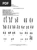 FICHA CITOGENÉTICA - No 006