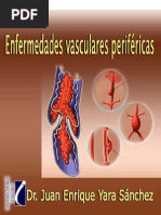 Enfermedades Vasculares Perifericas