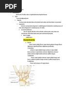 0 Wrist Joint (Anatomy)