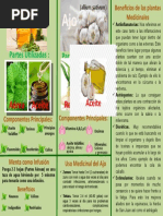 INFOGRAFIA Plantas