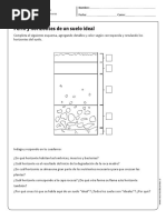 Horizonte Del Suelo Actividad